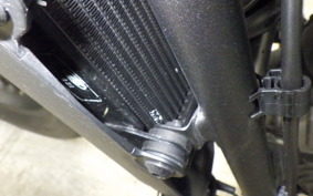 HONDA REBEL 250 E-Clutch MC49