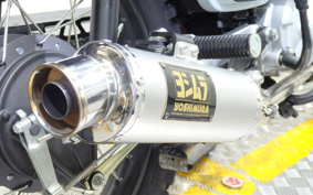 HONDA CROSS CUB JA45