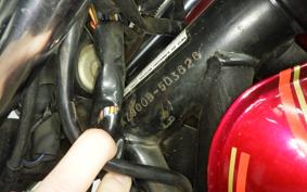 KAWASAKI Z900 LTD 2025 KZ900B