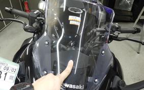 KAWASAKI NINJA 1000SX 2024 ZXT02K