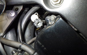 HONDA CBR1100XX 1999