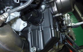 YAMAHA XSR900 GP 2024 RN96J