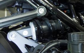 KAWASAKI Z900RS 2022 ZR900C