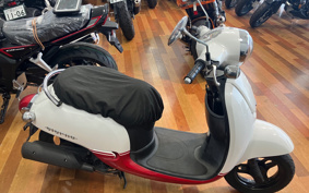 HONDA GIORNO AF70
