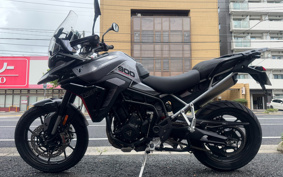 TRIUMPH TIGER 900GT PRO 2024 TRC82D