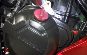 KAWASAKI Z250 ER250C
