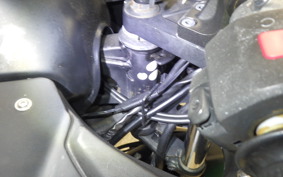 KAWASAKI NINJA 250R 2020 EX250K