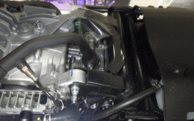 YAMAHA CYGNUS Griffus SEJ4J