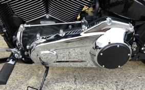 HARLEY FLSB 2021 YMJ
