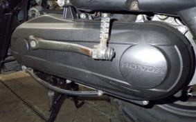 HONDA ZOOMER 2025 AF58