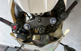 HONDA CBR600RR 2006 PC37