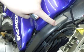 SCORPA SY250