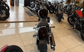 HARLEY FXST1340-1450 2023 BVJ