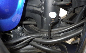 KAWASAKI NINJA 250 ABS EX250L