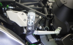 KAWASAKI NINJA H2 SX 2023 ZXT02P