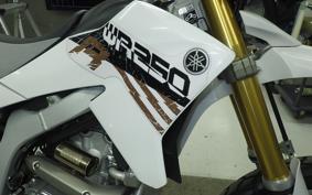 YAMAHA WR250R 2023 DG15J