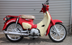 HONDA SUPER CUB110 JA59