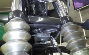 HARLEY XL883N 2020