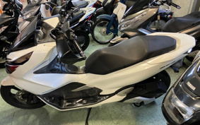 HONDA PCX 125 JF81