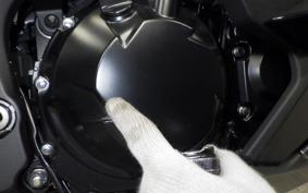 KAWASAKI NINJA 1000SX 2024 ZXT02K