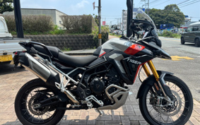 TRIUMPH TIGER 900 RALLY PRO 2025 TRC83D