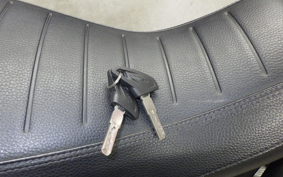 DUCATI SCRAMBLER DESERT SIED 2019