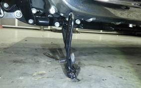 HARLEY FXBR1920 2024