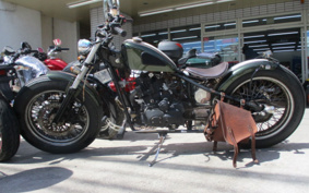 YAMAHA HE IST250 PCAN