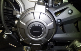 KAWASAKI Z125 PRO 2004 BR125H