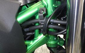 KAWASAKI Z250 Gen.2 2024 EX250Y