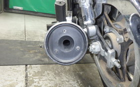 KAWASAKI Z250 Limited 2025 KZ250H