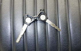 YAMAHA ﾙﾋﾞｱｽGTX125