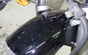 HONDA HORNET 250 MC31