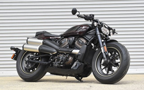HARLEY Sprotster S 2021 ZC4