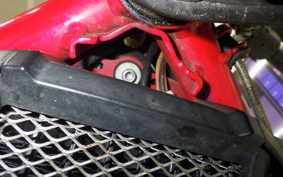 DUCATI MONSTER 696 + 2008