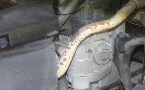 YAMAHA VINO 50 2005 SA54J