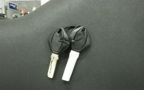 DUCATI PANIGALE V2 2024