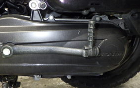 HONDA ZOOMER AF58
