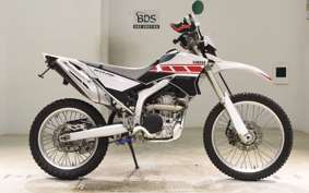 YAMAHA WR250R 2025 DG15J