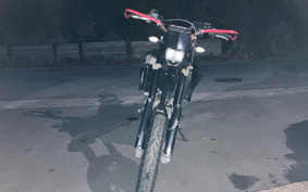 YAMAHA WR250X DG15J