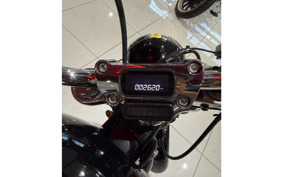 HARLEY FXST1340-1450 2020 BVJ
