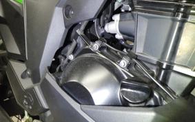 KAWASAKI VERSYS X250Aﾂｱﾗｰ 2021 LE250D