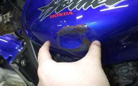 HONDA HORNET 250 2026 MC31