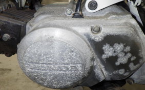 HONDA MONKEY BAJA 2024 Z50J