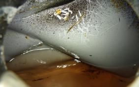 HARLEY FXS 1200 2013