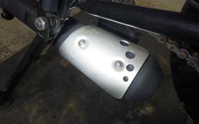 OTHER MUTT250 2024