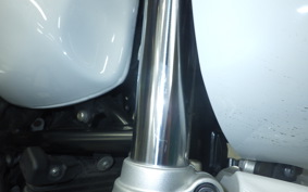 BMW R NINE T URBAN GS 2020