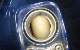 KAWASAKI Z1000 LIMITED KZT00B