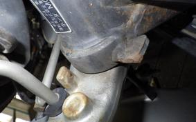 HONDA HORNET 250 2007 MC31