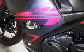 KAWASAKI NINJA 250 2 EX250P